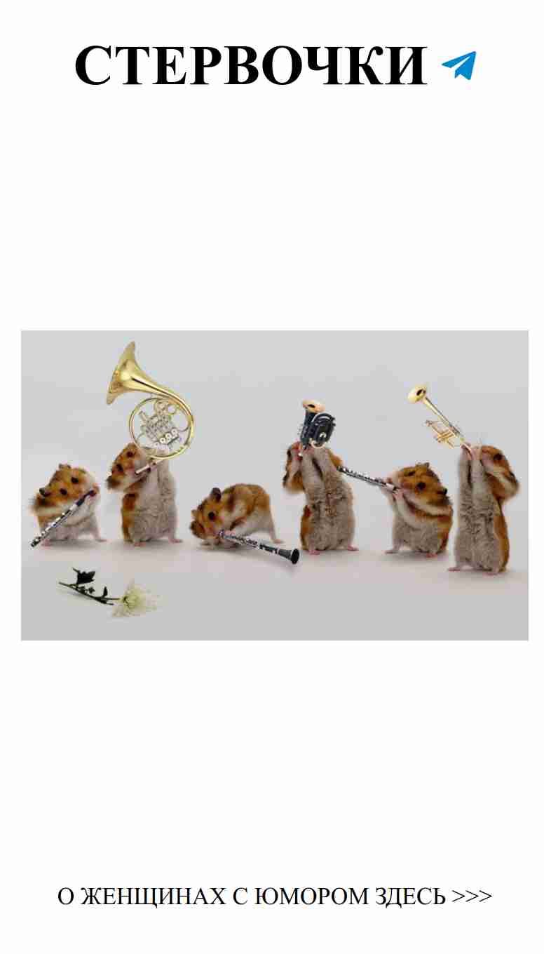 Юмор и любовь: забавные поздравления для мужчин Юмор и любовь: забавные поздравления для мужчин