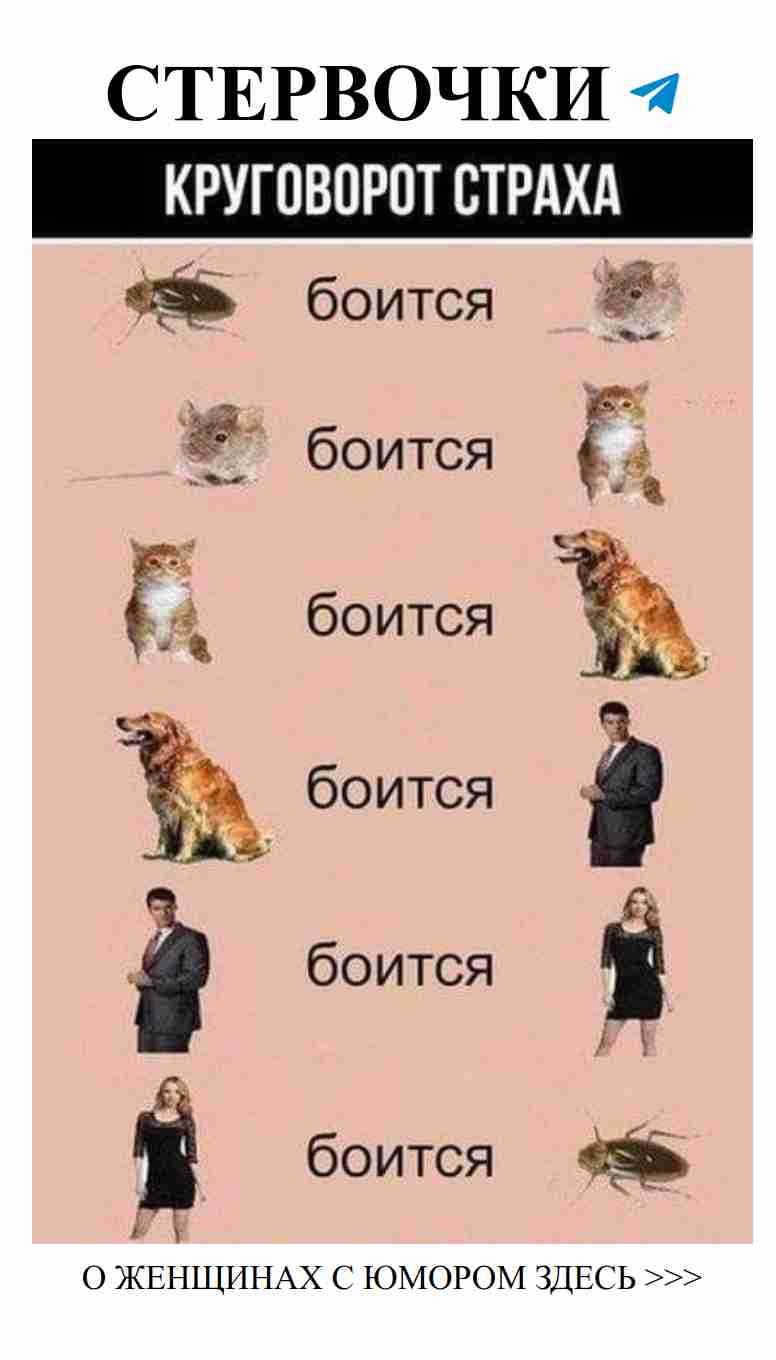 Когда любовь оборачивается комедией: юмор в сердечных делах