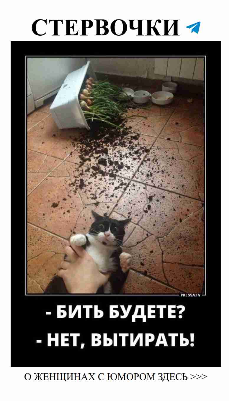 Смех и любовь: как делить радости с любимым