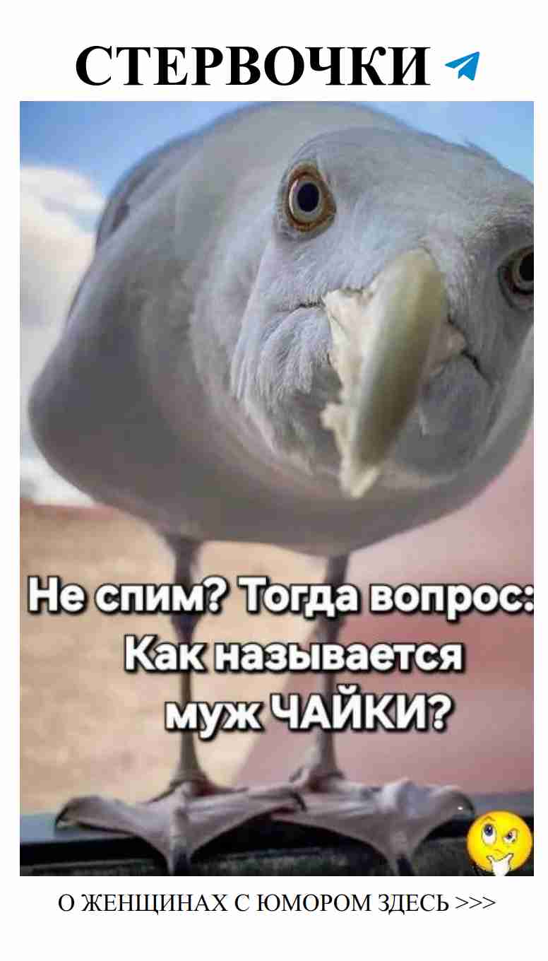 Когда любовь умеет смеяться: женский юмор о сердечных делах