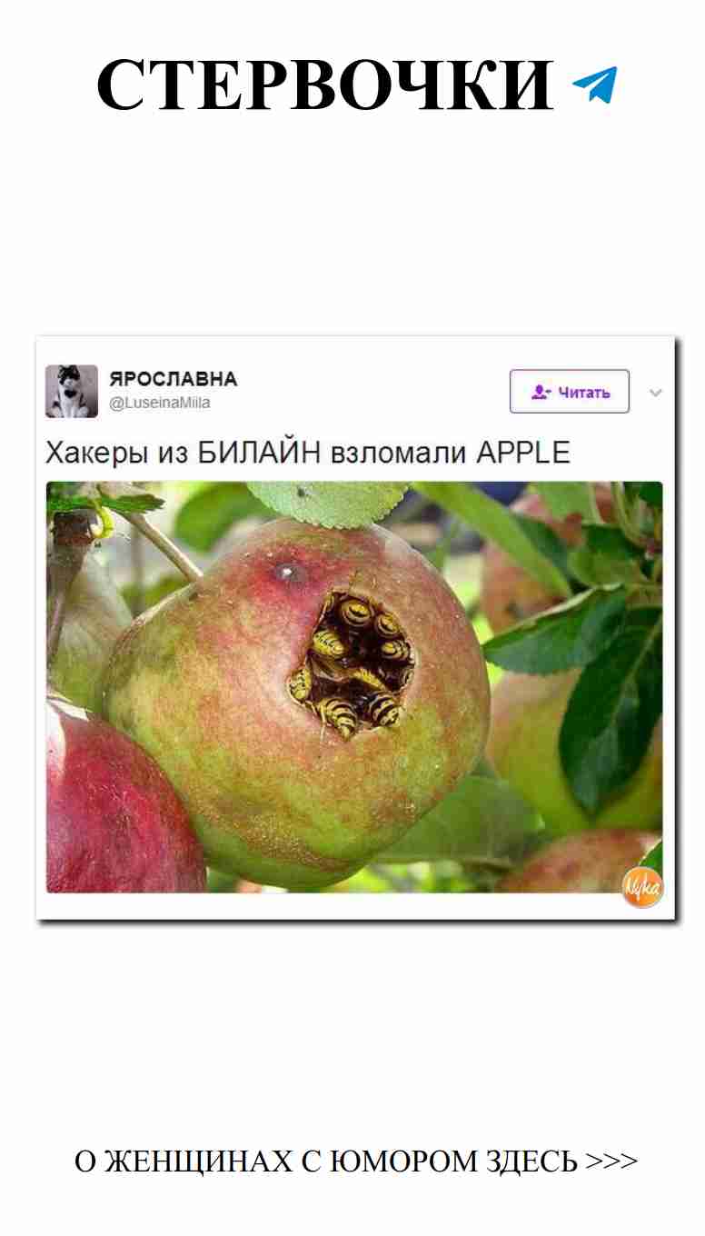 Когда любовь приносит радость и смех