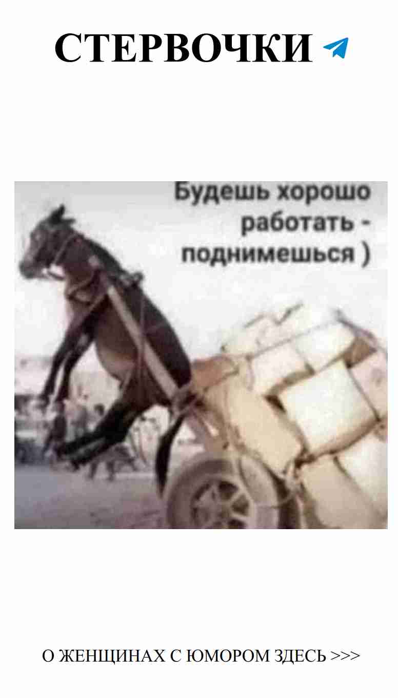Любовь и юмор: смеемся вместе с АйДаПрикол
