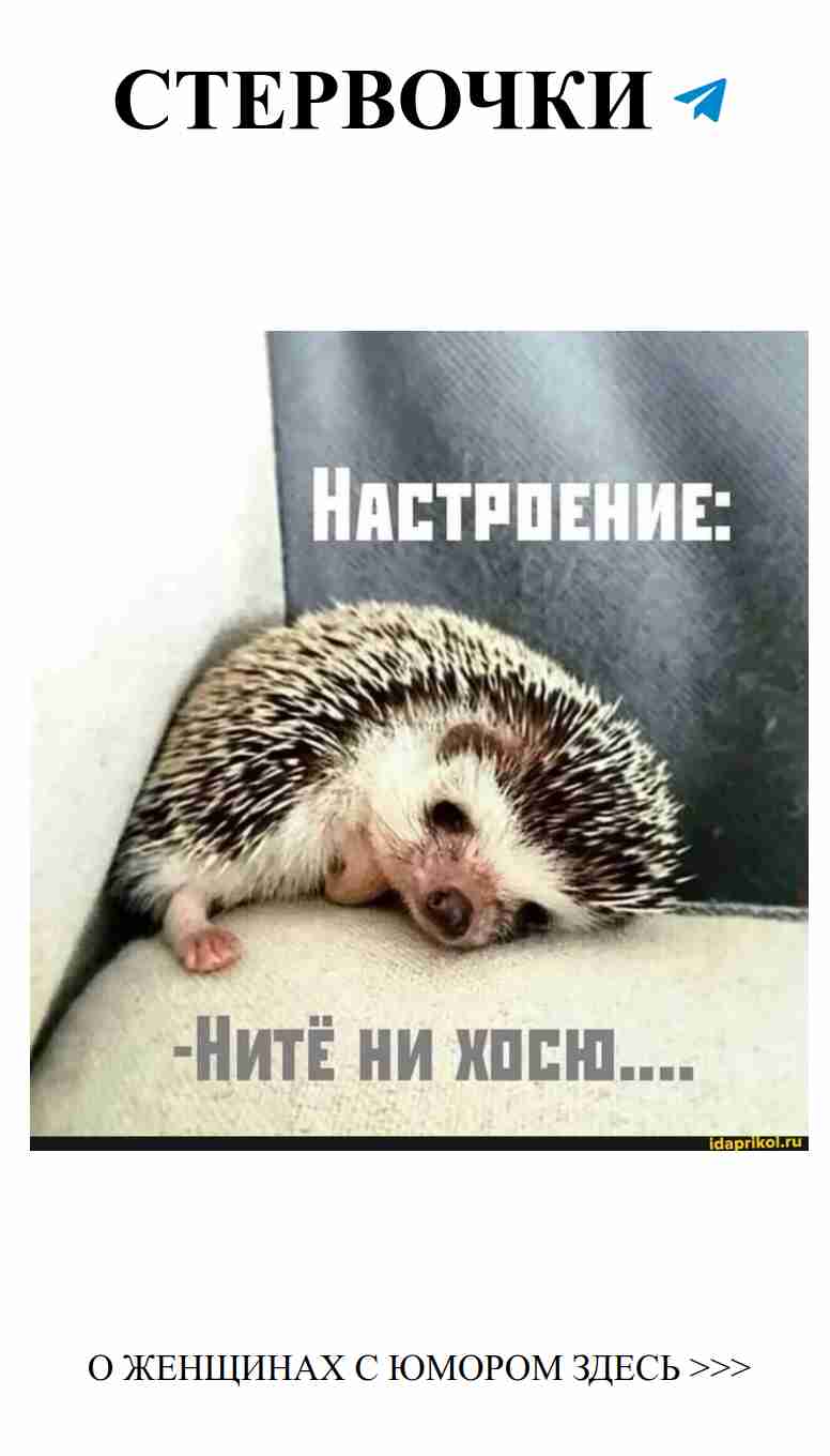 Любовь и смех: история, которая покорит ваше сердце