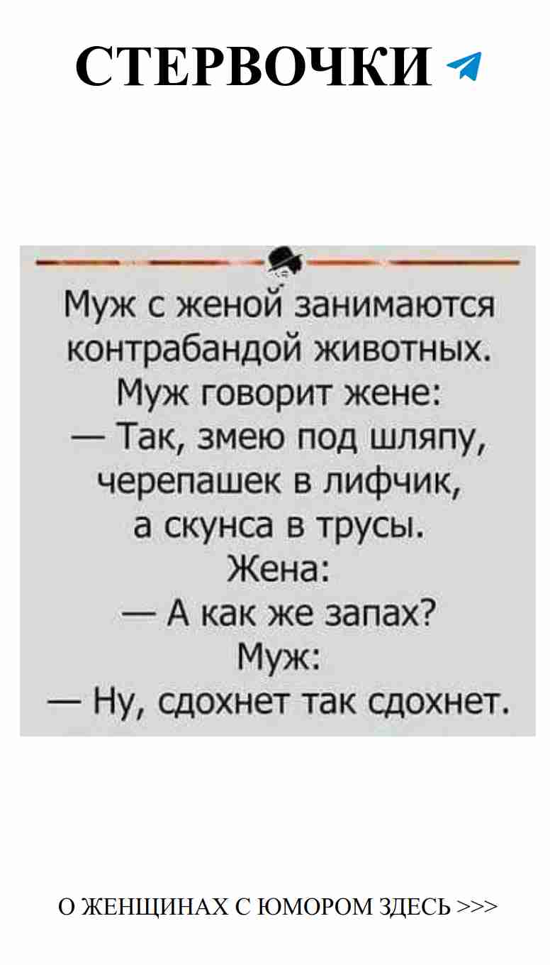 Любовь с юмором: как не потерять голову в отношениях