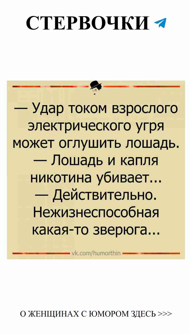 Любовь с юмором: смеемся над сердечными делами