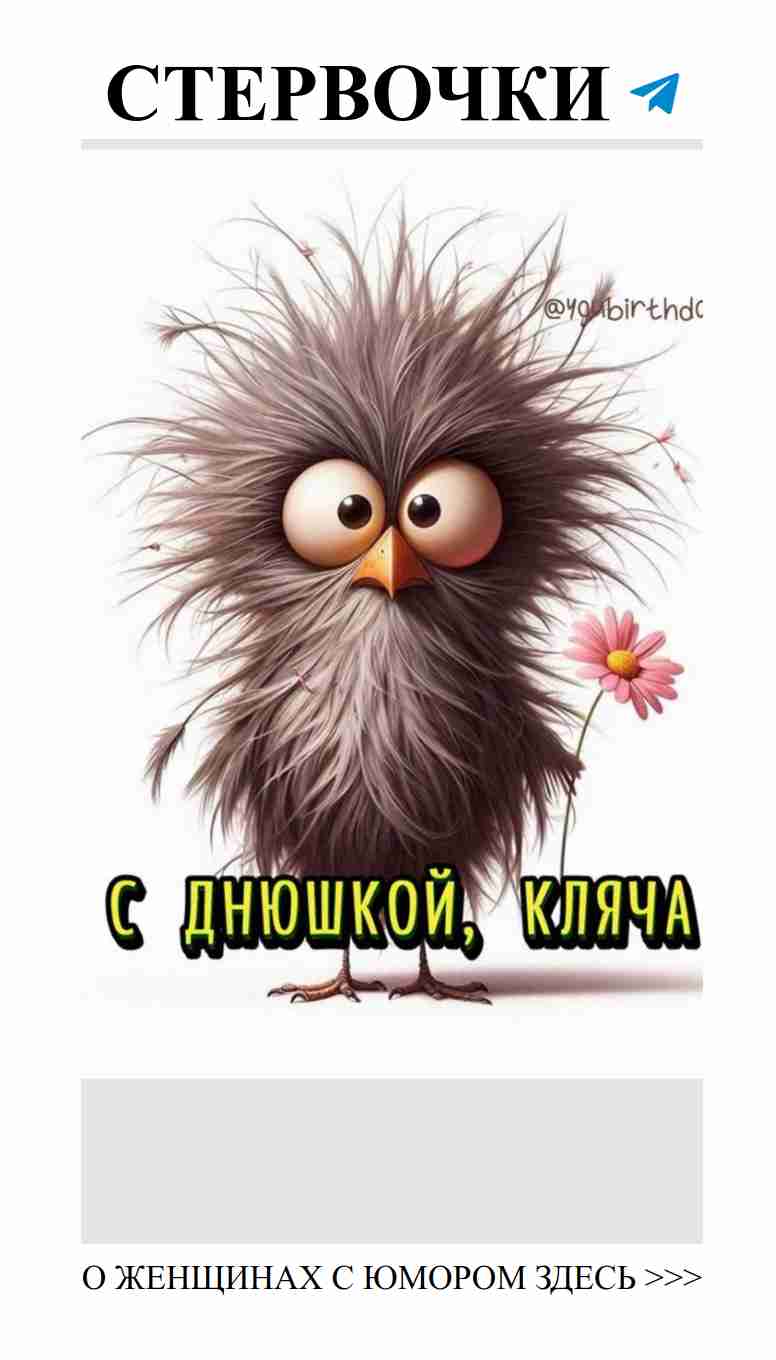Любовь через призму смеха: женский юмор для души