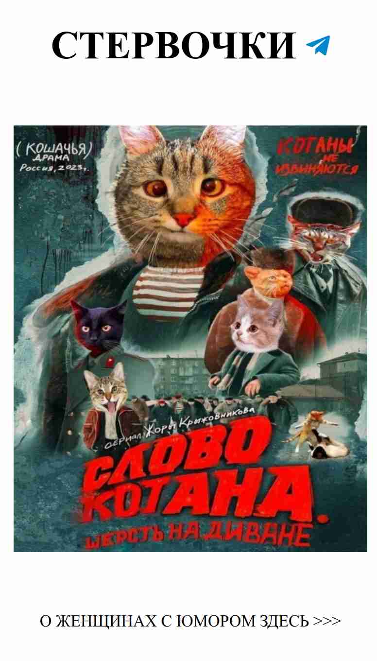 Смешные мемы о любви и котах для девушек