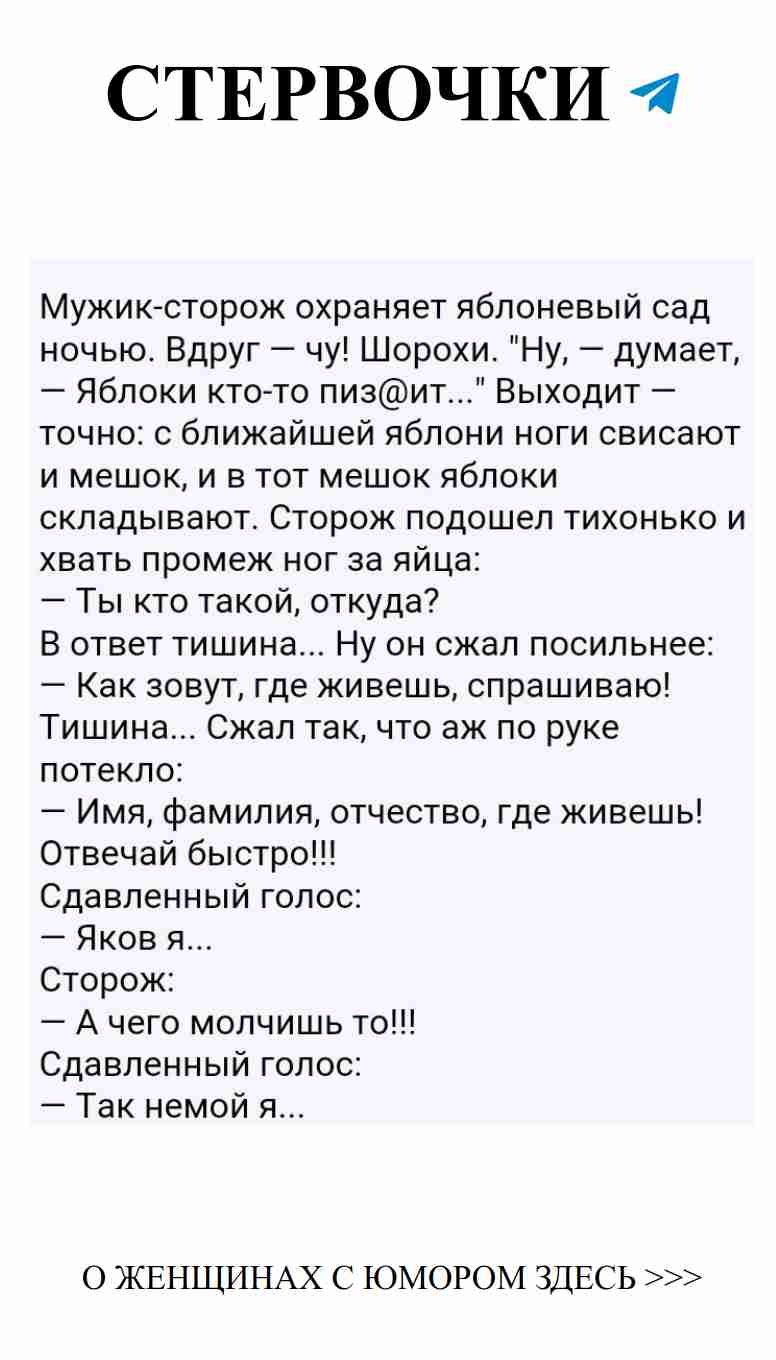 Смех и любовь: женские приколы для поднятия настроения