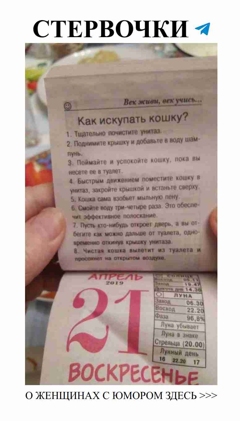 Любовь, которая может смыть даже кота