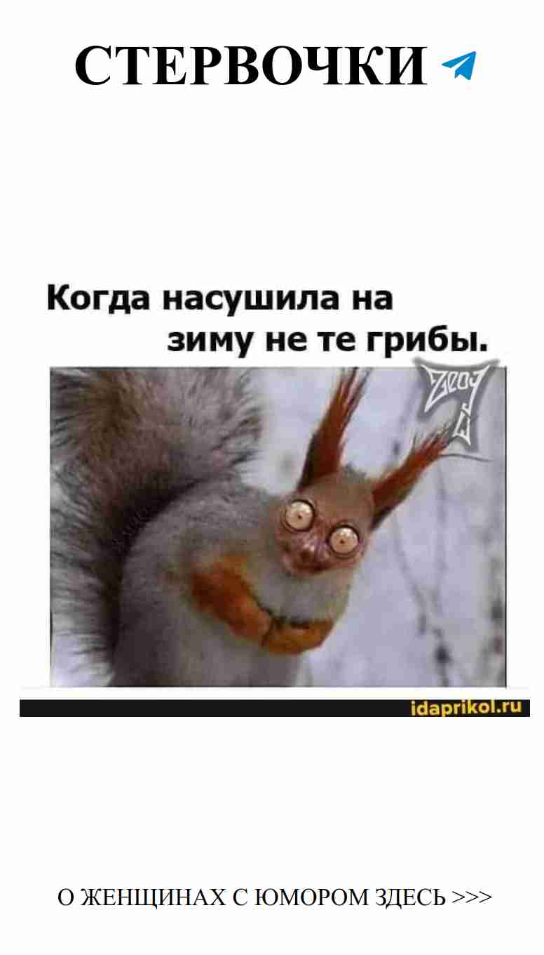 Когда не те грибы заставляют смеяться над собой