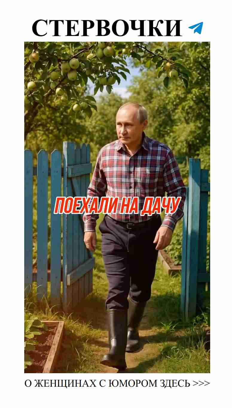 Любовь и дачи: смешные моменты из жизни на природе