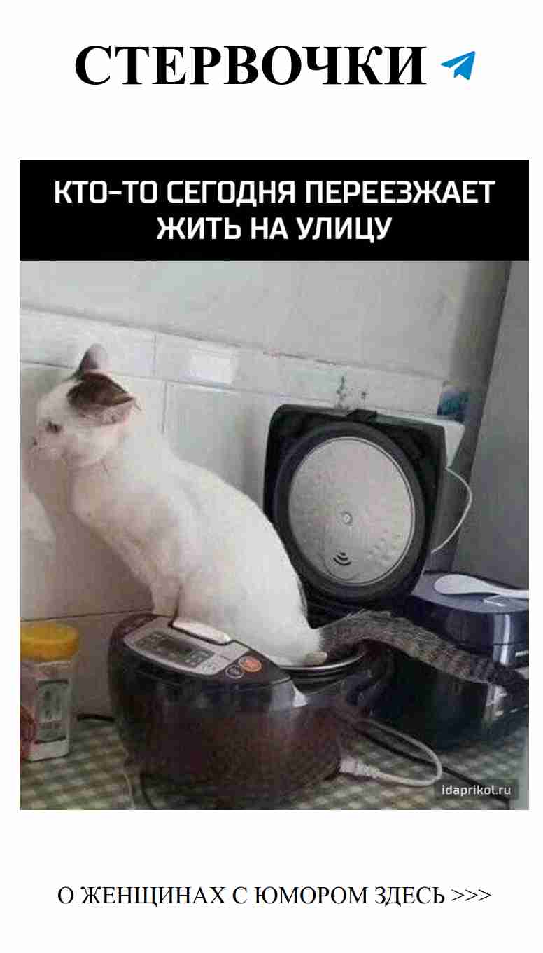 Женская любовь: когда переезд становится курьезом