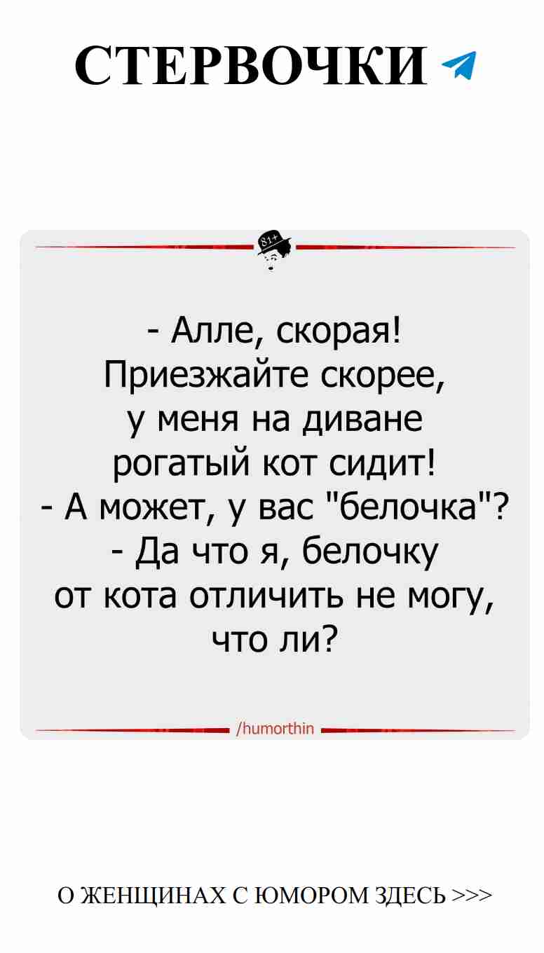 Любовь — веселое путешествие с хорошим чувством юмора