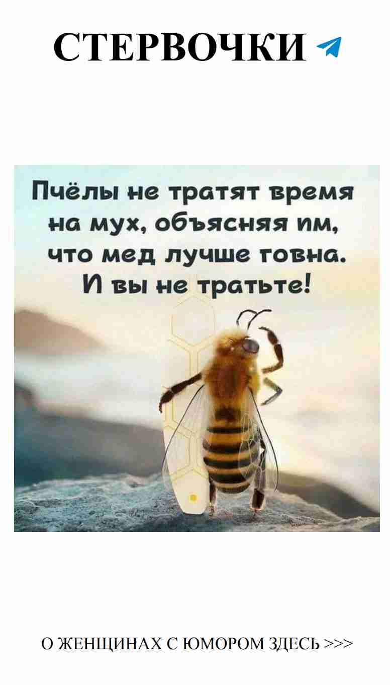 Любовь, смех и веселье: как юмор спасает отношения