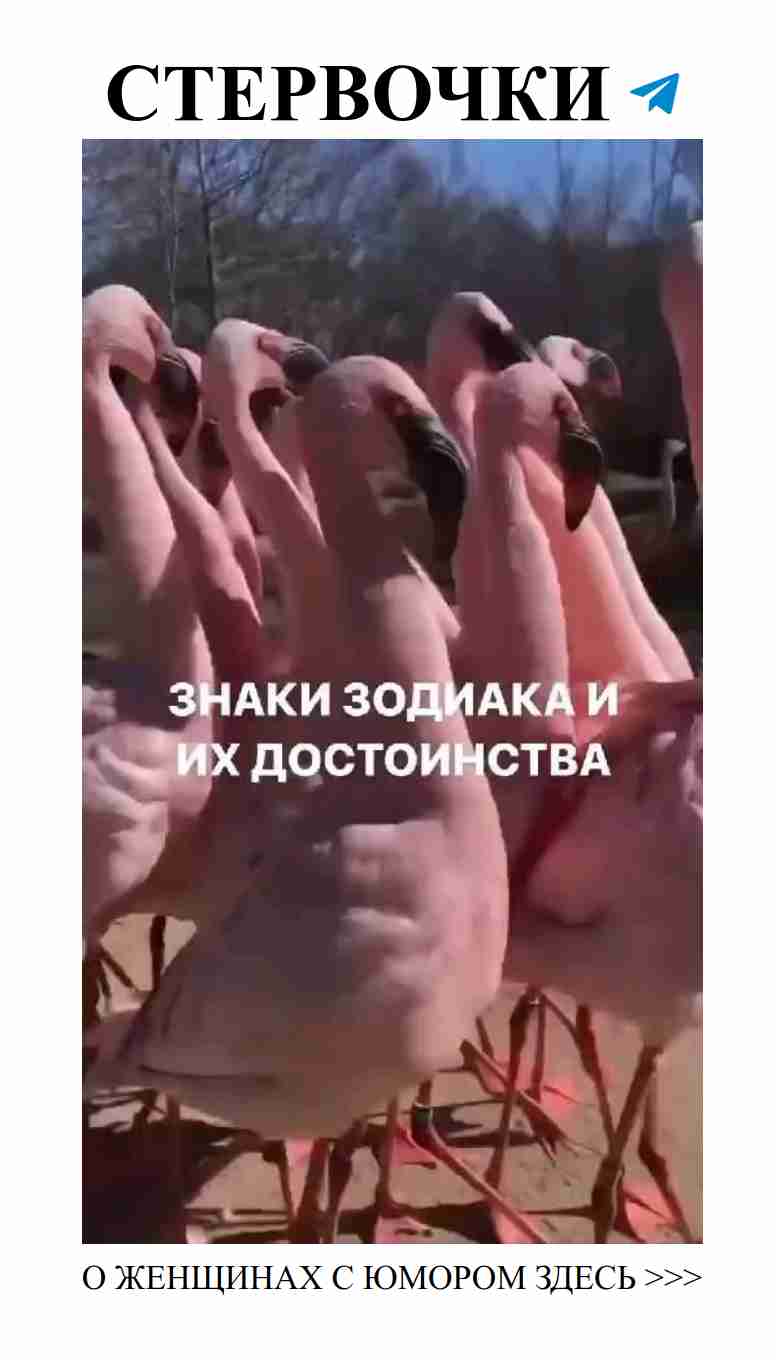 Юмор о любви: как сердце шутит, а душе весело