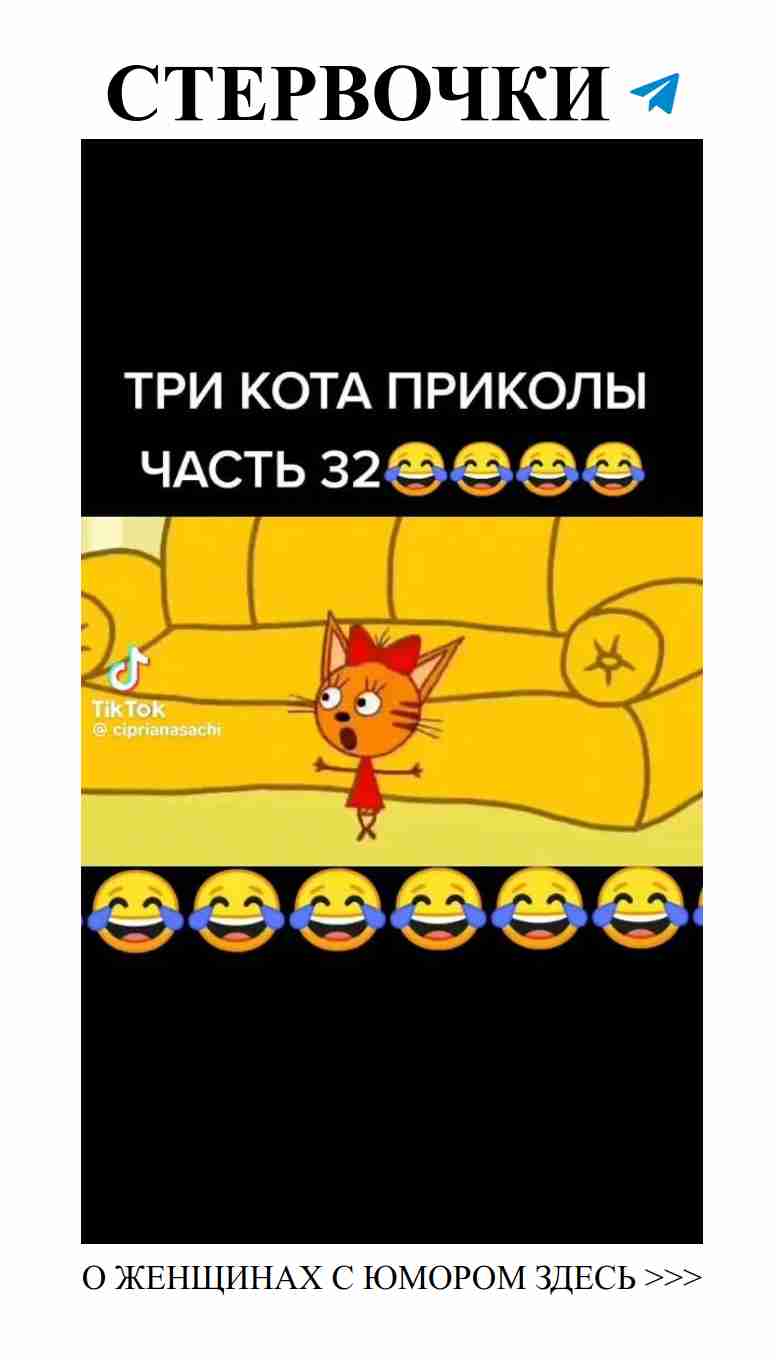 Любовь и смех: истории, от которых зальёшься слёзами