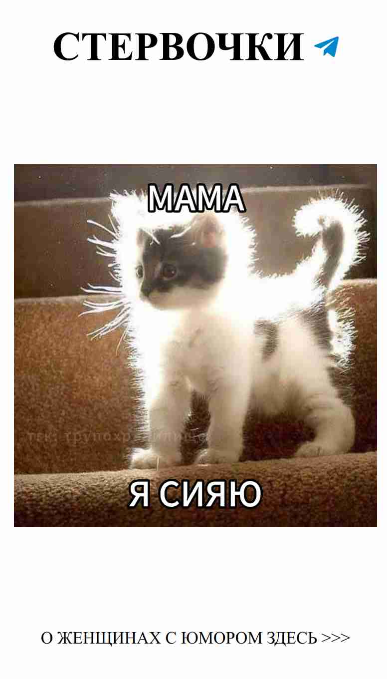 Мужская дружба или женская загадка?