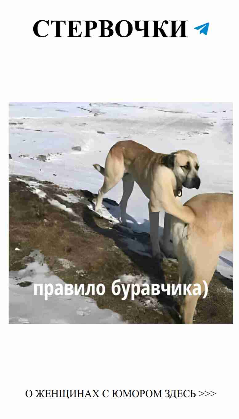 Как буравчик вертит в любви, так и мы вертимся в мемах