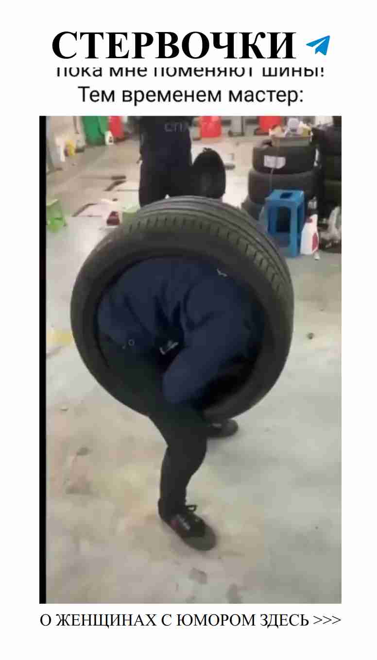 Как выбрать шины для авто и не потерять любовь