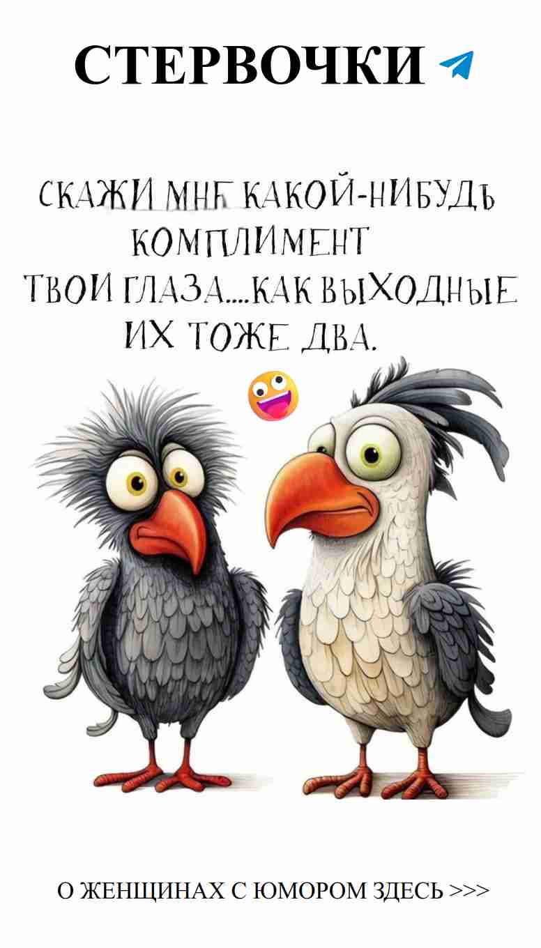 Смех и любовь: лучшие женские шутки о жизни с юмором