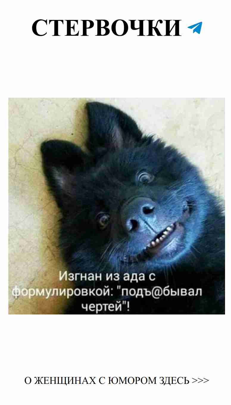 Когда любовь заходит за границы разумного и смешного
