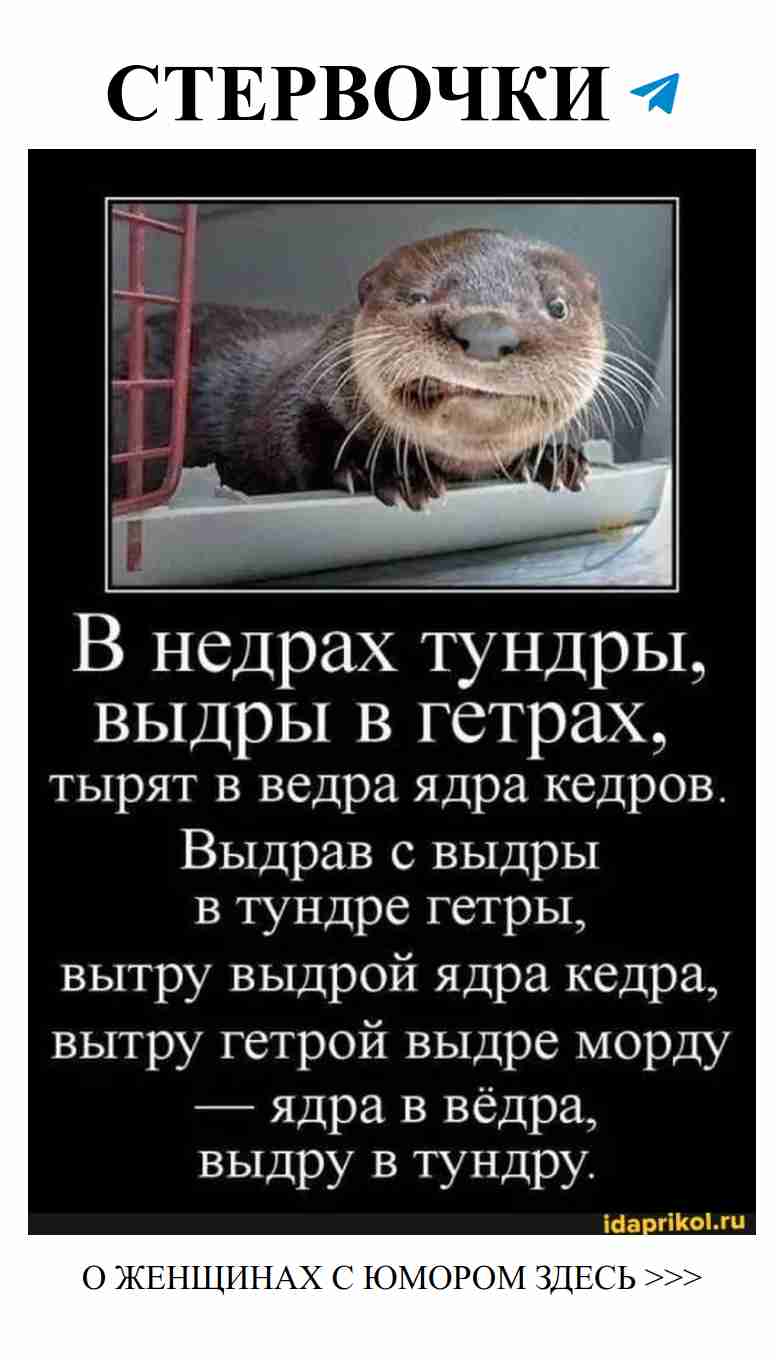 Любовь в неожиданных местах и женский юмор