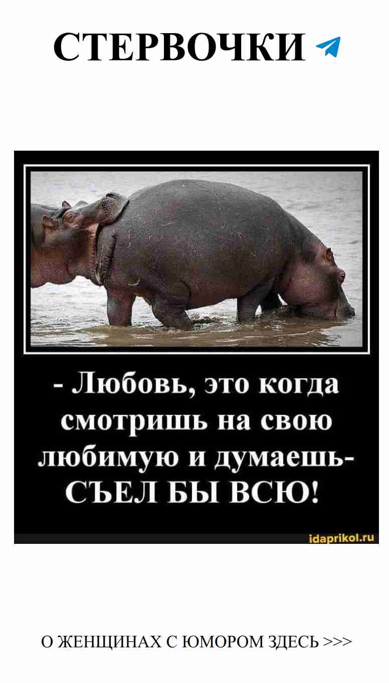 Любовь и юмор: когда сердце смеется, а живот хрустит