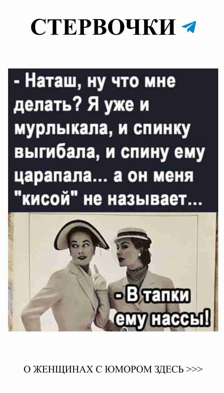Как заставить его звать тебя ‘кисой’? Женский юмор о любви