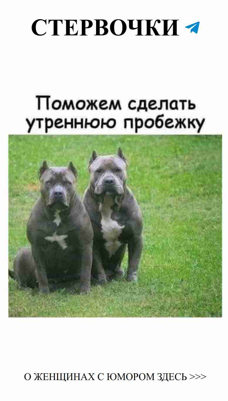 Утренняя пробежка: Легкий старт в мир женского юмора