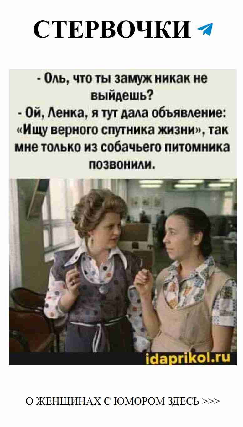 Почему любви не хватает, если только собаки звонят?