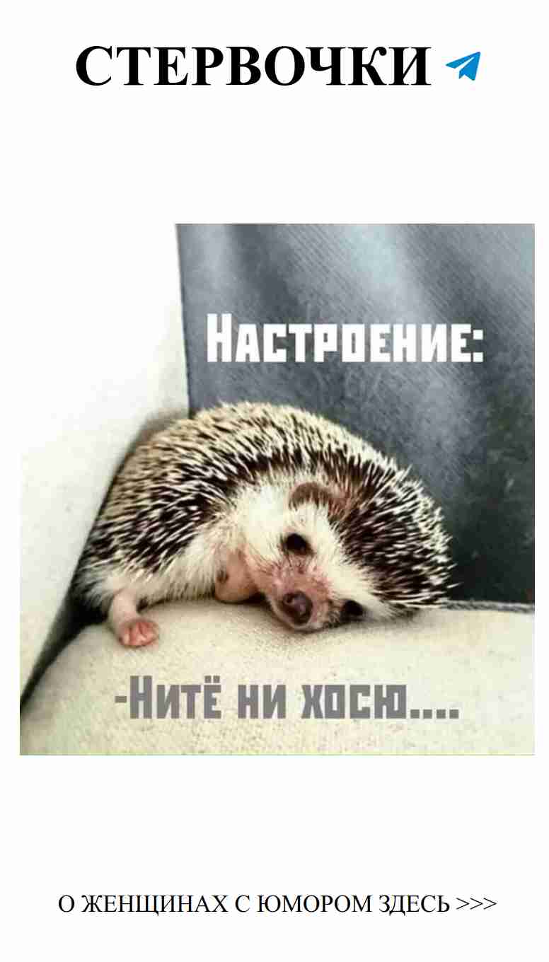 Смешные моменты про любовь от женщин и их юмор