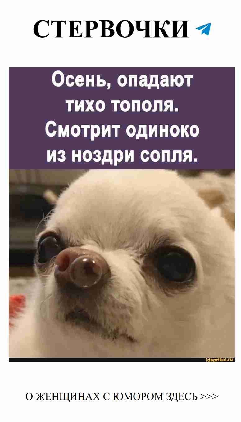 Осень и смех: о том, как любовь приносит радость