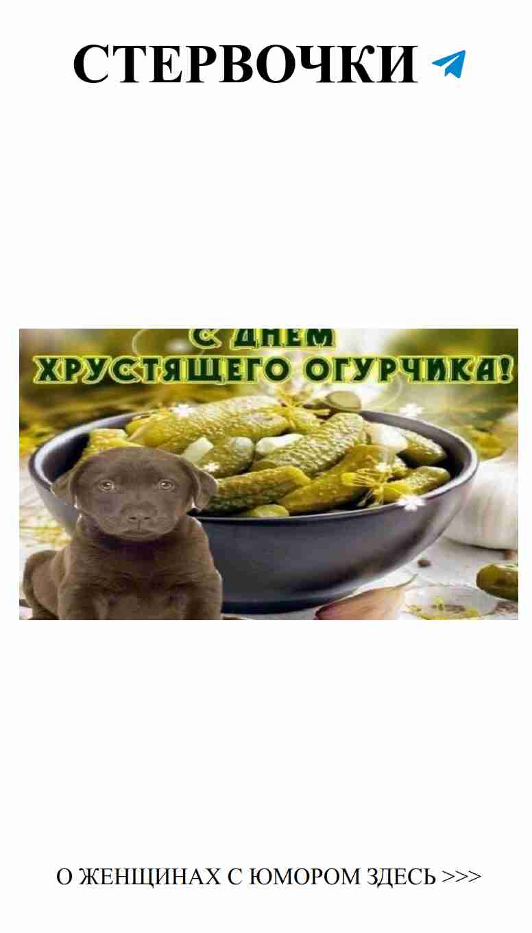 Смешные открытки о любви для родных и близких