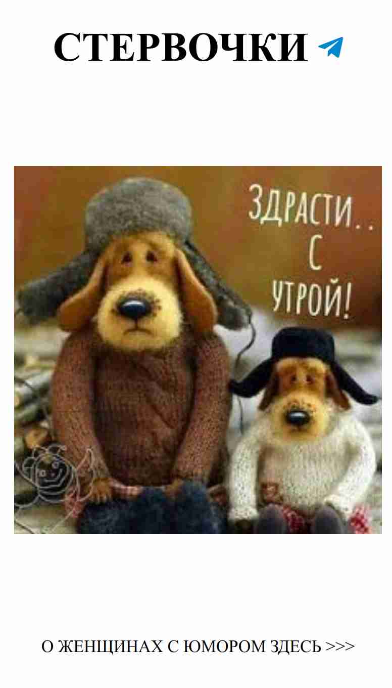 Любовь, смех и осень: яркие моменты из альбома