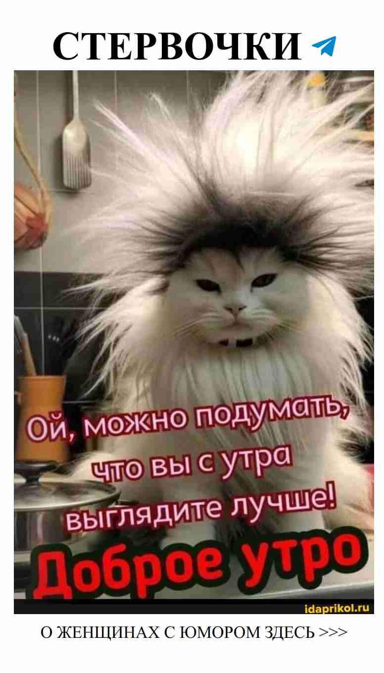 Утренний юмор: как любовь дарит тепло и смех