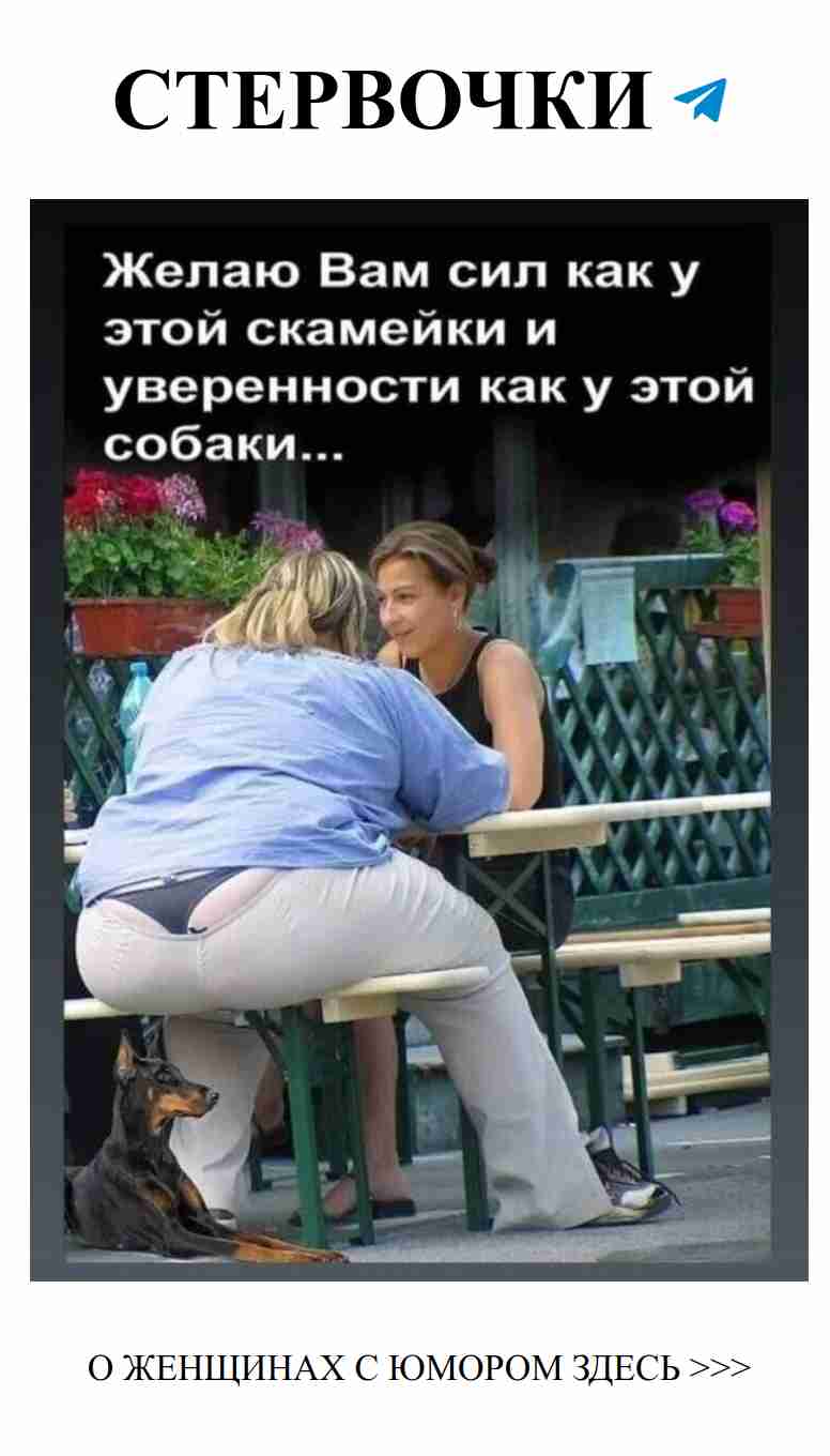Смех и любовь: как собака вдохновила на силу