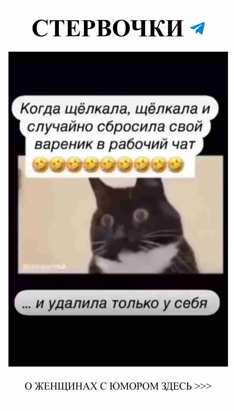 Когда вареник уходит в чат, а ты остаёшься с юмором