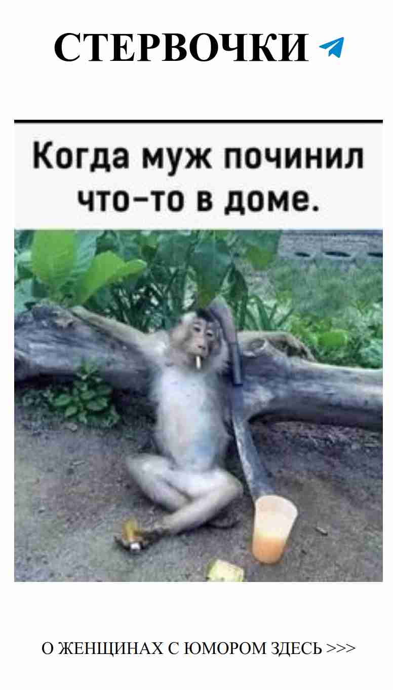 Смех и любовь: женский юмор о relationships