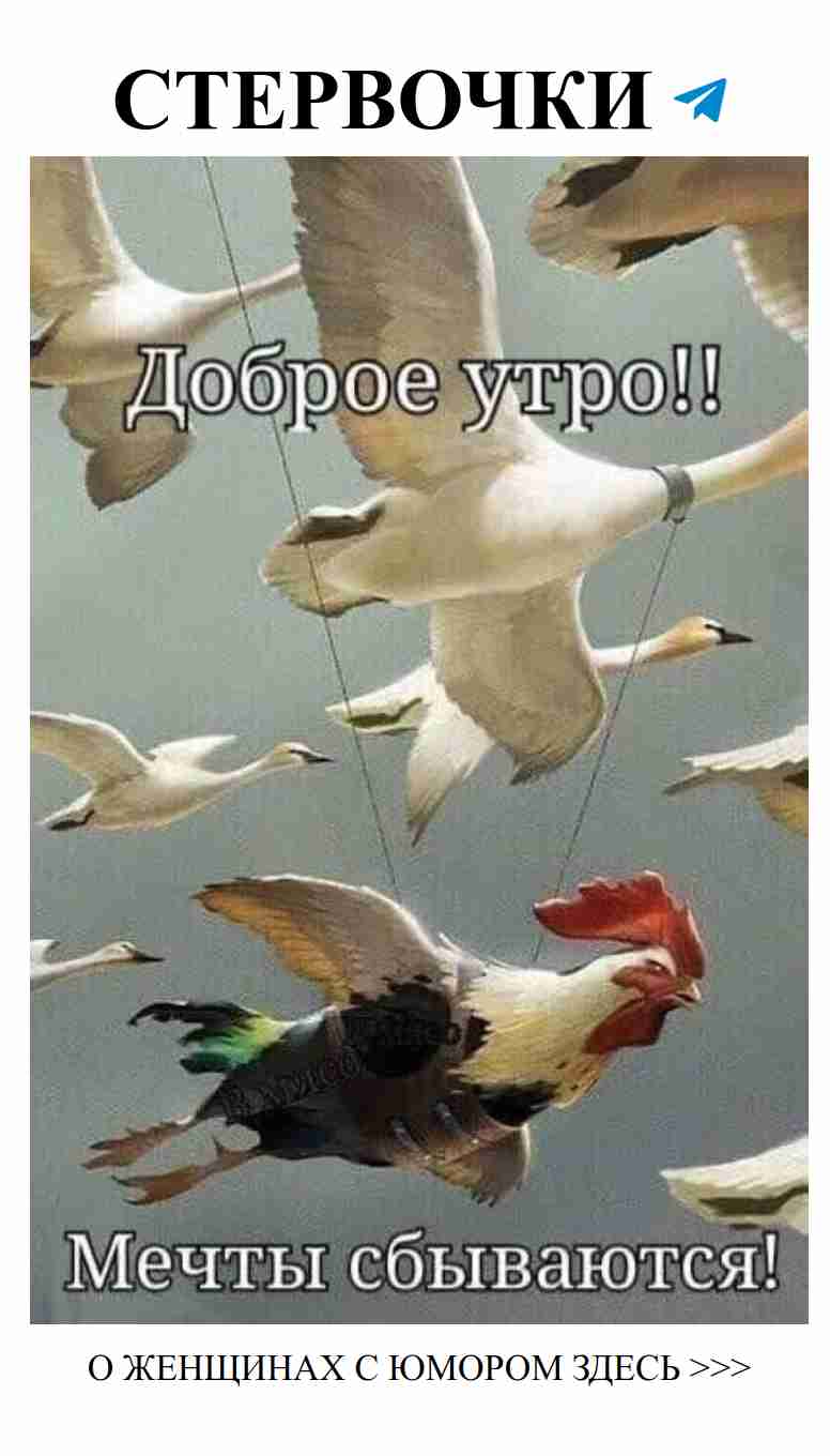 Смех без запретов: женский юмор о любви и жизни