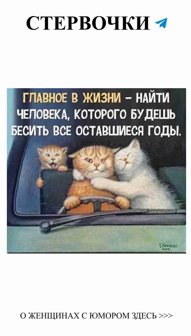 Любовь и смех: расскажем, как найти свою вторую половинку