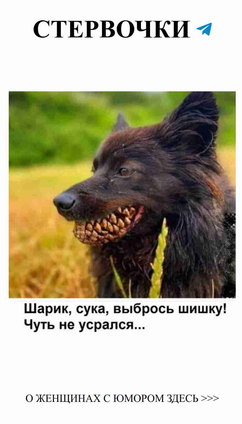 Прикольные мемы о любви и женском юморе в РЖОМ