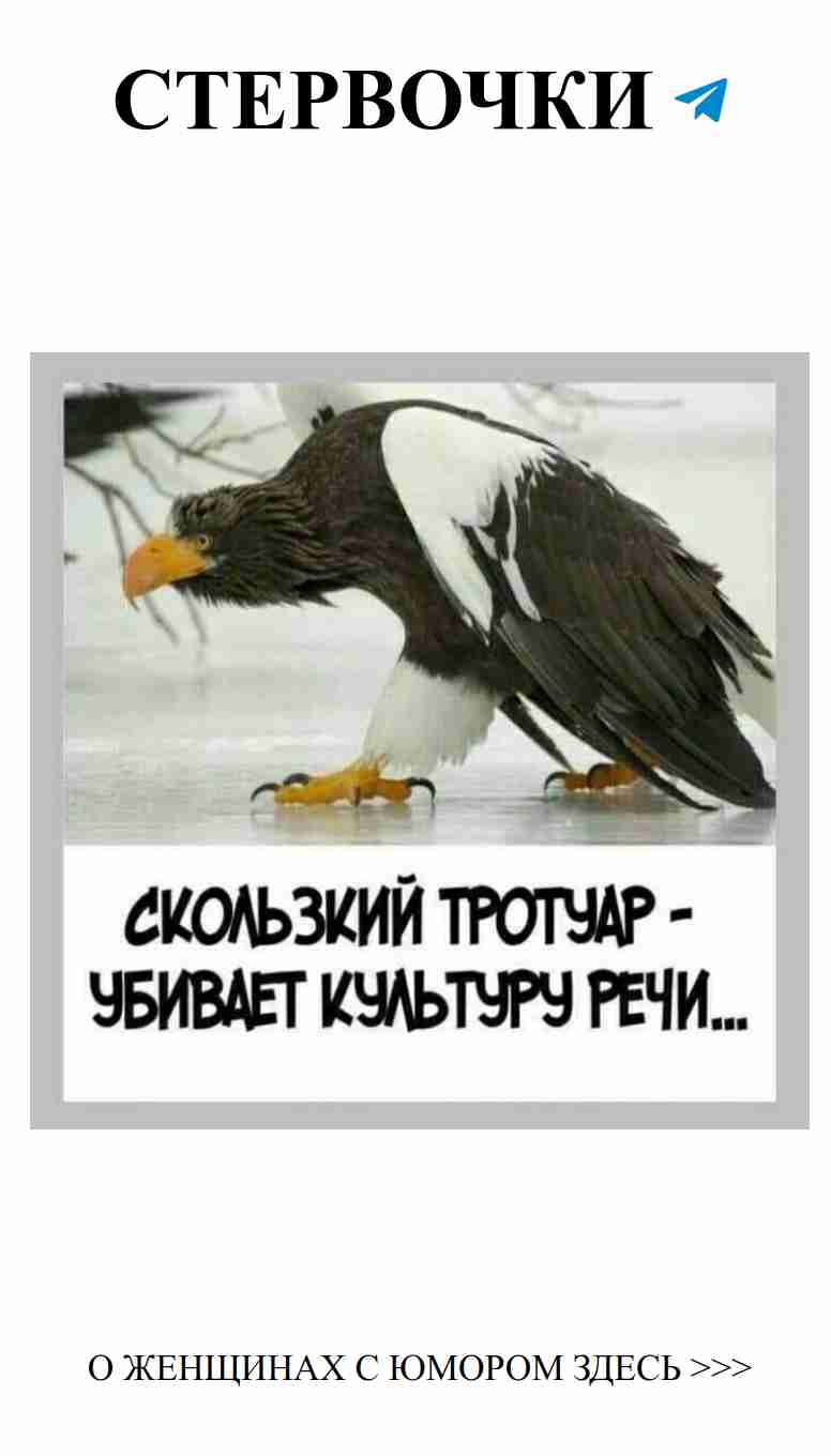 Любовь и юмор: лучшие моменты из альбома Разное