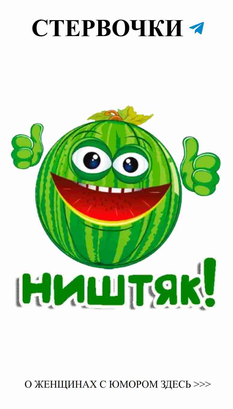 Очаровательные котики и любовь к вязанию