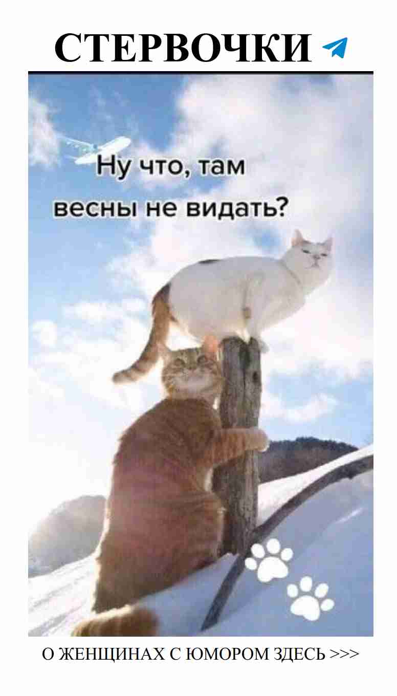 Смешные истории о любви для женщин в группе Судьба и ЖИЗНЬ