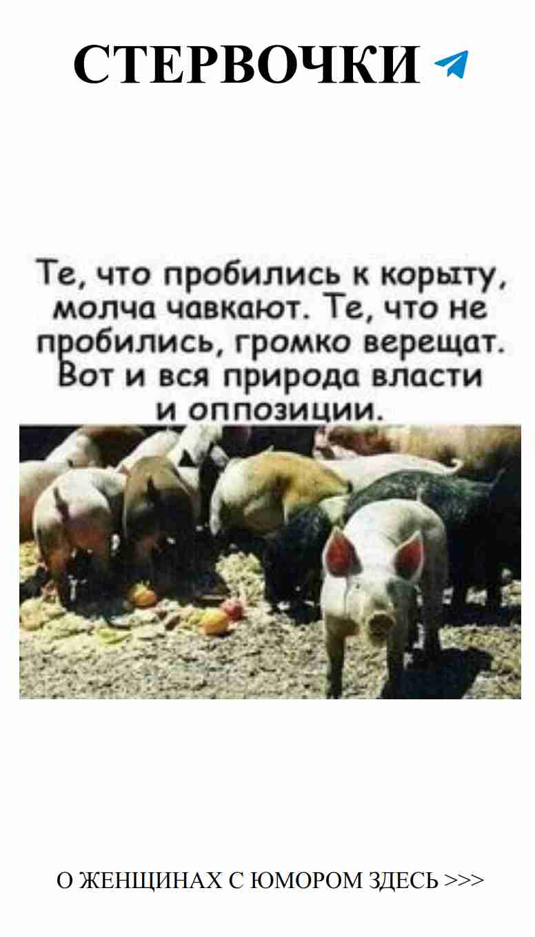 Любовь с юмором: как шизофрения нас сближает