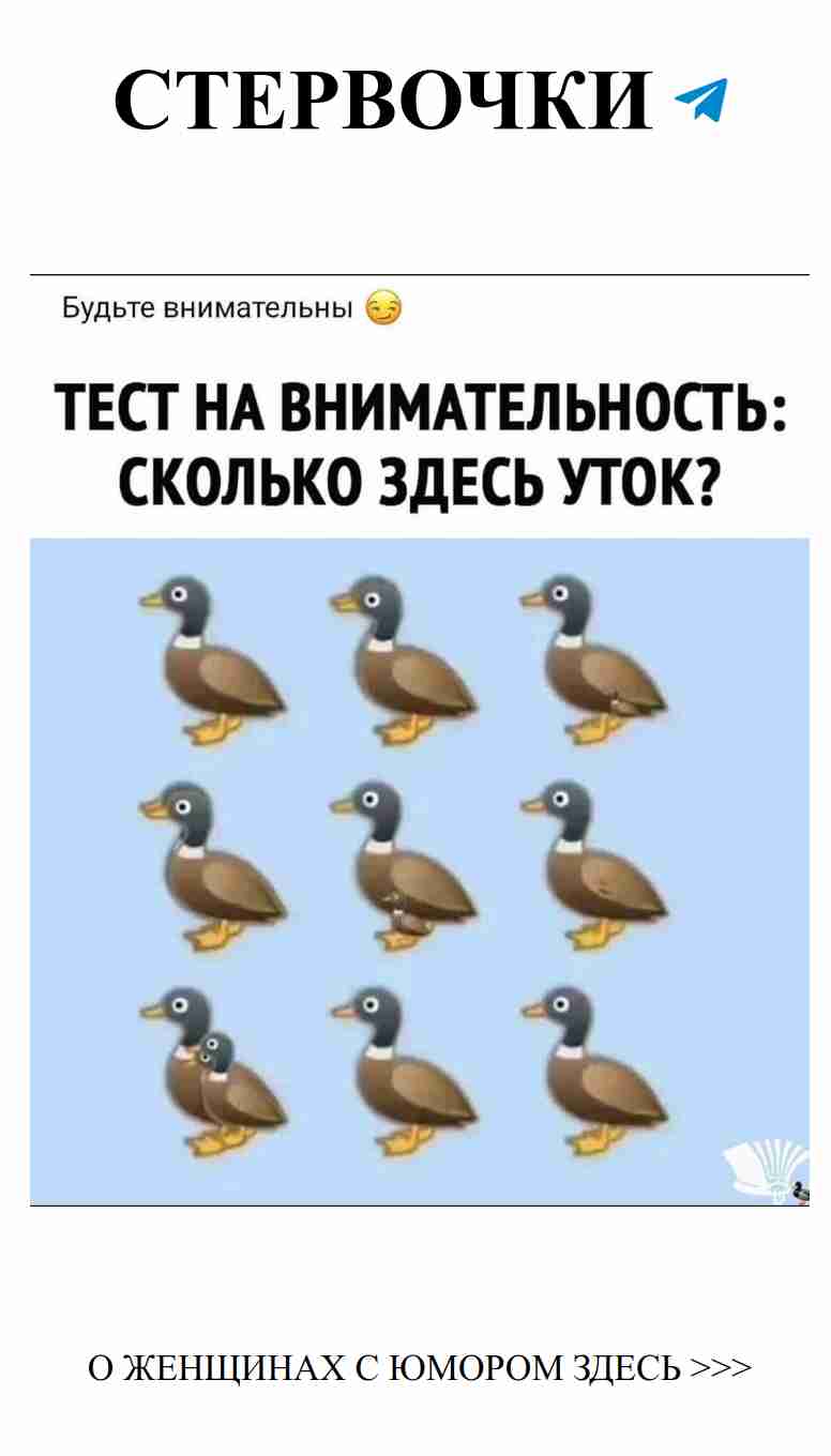 Проверь свою внимательность: любишь ли ты уток на тестах