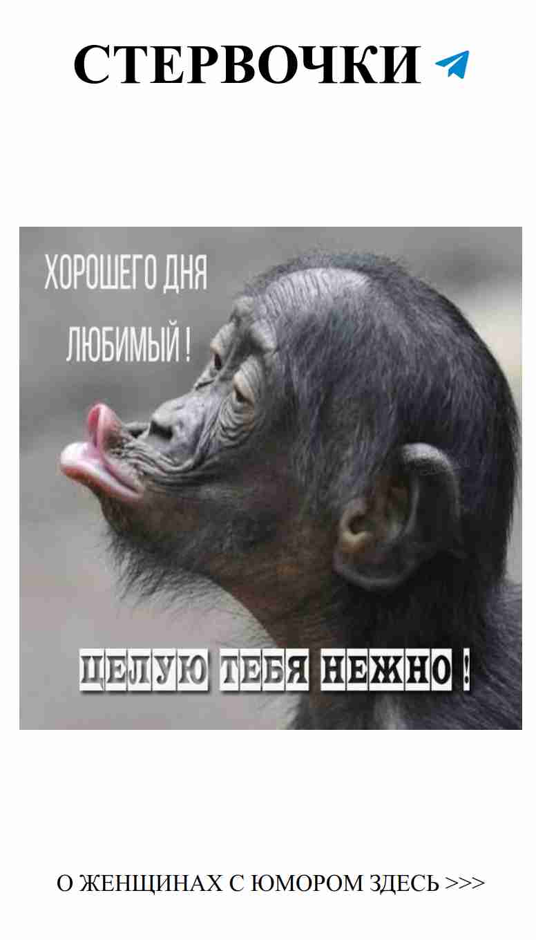 Смешные открытки для любимого для хорошего настроения