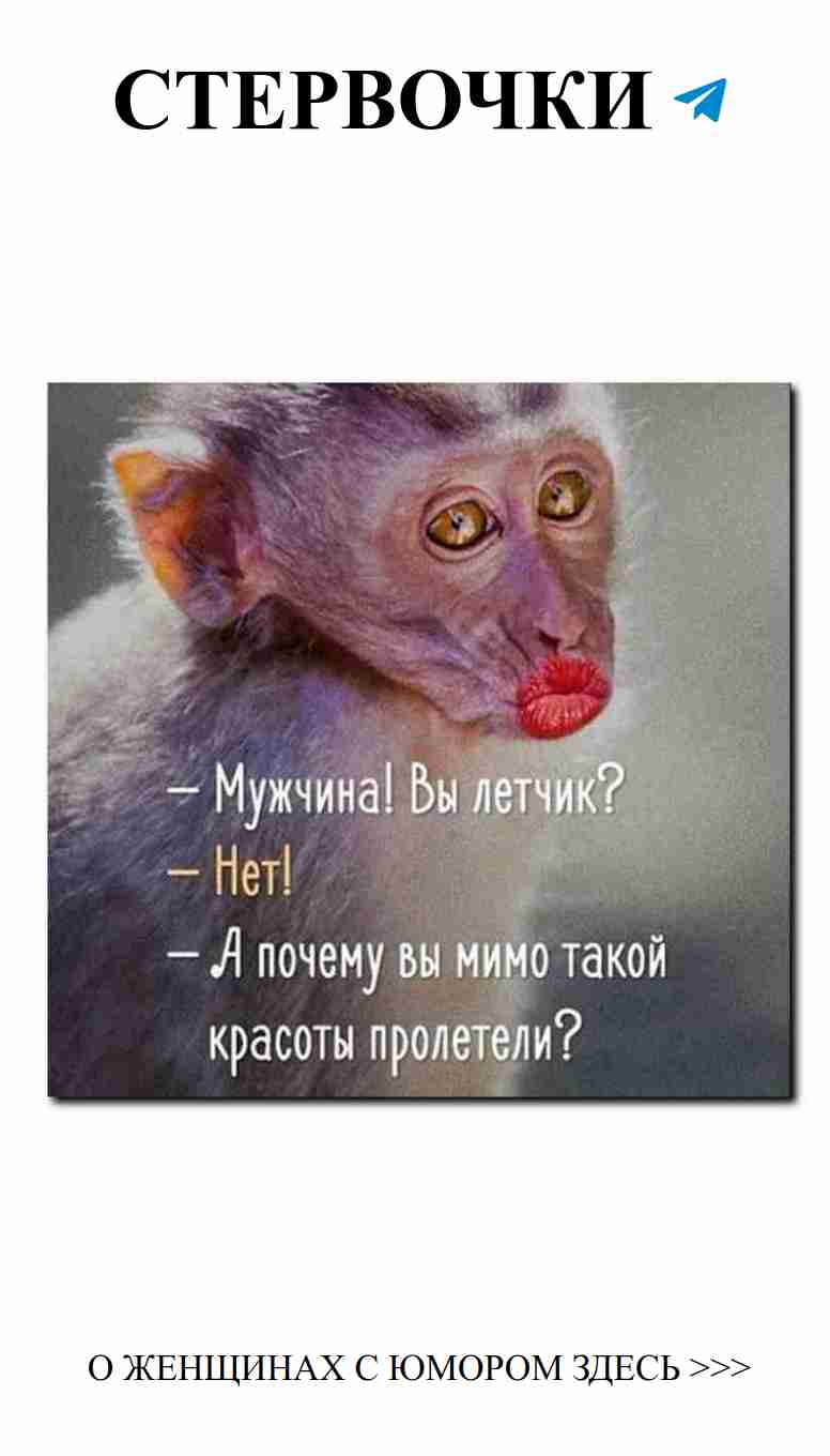 Смешные моменты о любви и жизни для хорошего настроения