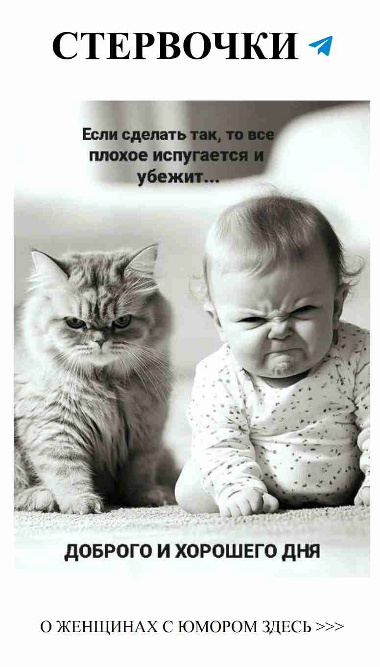 Лучшие моменты женского юмора о любви и жизни