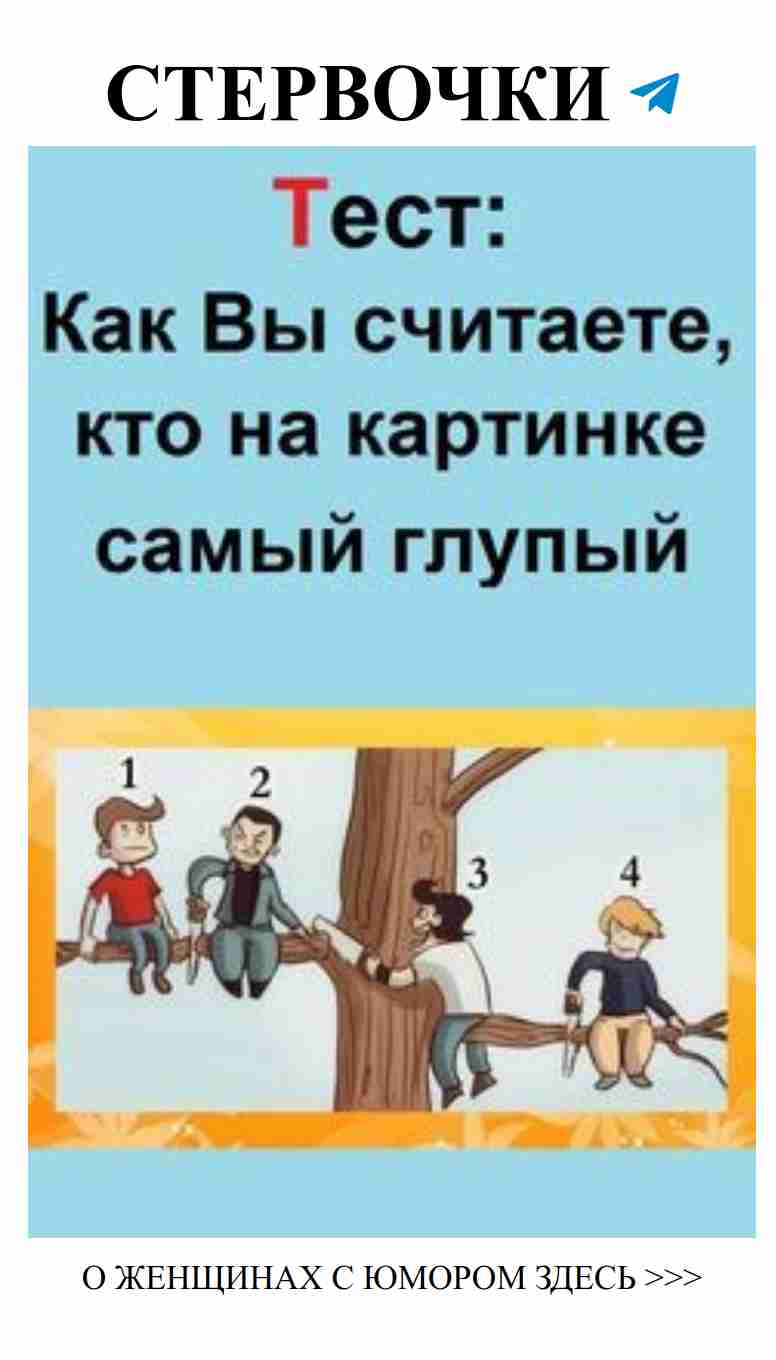 Кто из этих четырех самый глупый? Узнайте с юмором!